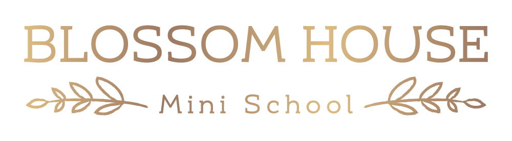 Blossom House Mini School